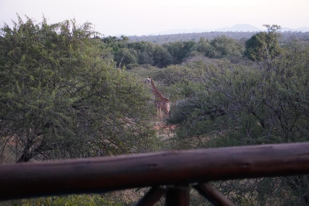 말로스 파크 Giraffe Plains 빌라 외부 사진